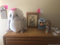 Photo showing large white snowy owl plush, blue owl plush, smaller owl plush, and additional owl-themed items on wooden surface.