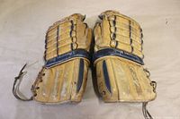 Top view showing the back of the gloves with segmented padding, laces, and 'Professional Model' branding.