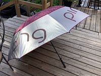 Side angle showing silver umbrella exterior with garnet 'ping' logo and overall 62 inch size.