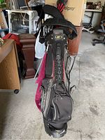 Photo of golf bag standing upright showing bag design, straps, and storage pockets