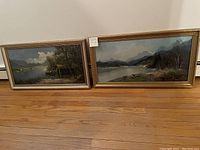 Two framed landscape oil paintings measuring 19x35 inches each. Scenes include lakes and mountainous backgrounds, signed by the artist.