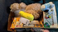Box containing a yellow Tweety toy, stuffed animals, and Pine Craft wooden kit.