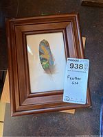 Framed feather art with wooden frame and glass, showing entire artwork and frame.