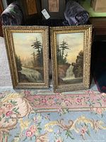Pair of framed landscape oil paintings showing waterfalls and trees, with ornate gold-tone frames, placed against a floral carpeted floor
