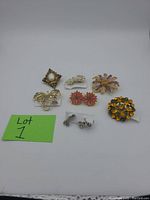 Photo showing all 7 pieces in the lot: 5 brooches and 2 pairs of earrings in various colors and styles.