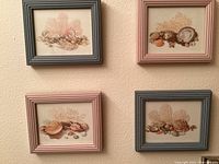 Four framed seashell illustrations with mixed pink and gray frames hung on wall.