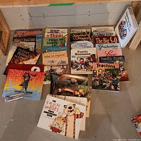 Full spread photo of comic books and graphic novels laid out on floor including Calvin and Hobbes, For Better or Worse, and other titles