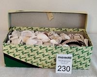 Shoe box filled with assorted sea shells with a few shells laid out in front to show variety and sizes.