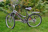 Full view of step-through bicycle showing frame, tires, rack and accessories