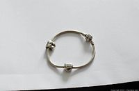 Pandora bracelet with two silver charms on a white background, showing overall condition and placement of charms.