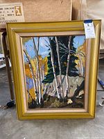 Framed acrylic painting signed B Adams showing birch trees and pine trees in a natural landscape.