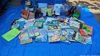 Overview photo showing the entire lot spread out on a blue tarp outdoors. Shows books, games, boots, bobbleheads, a green toy car, puzzles and various craft supplies.
