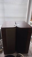 Front view of both speakers side by side showing wood veneer top and cloth grills