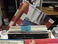 Photo showing a selection of vinyl records in a bin including Bob Dylan's 'Born in the U.S.A.', Supertramp album, and others behind a MaxSold lot tag #55.