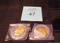 Photo showing two commemorative coins sealed in plastic cases and plastic bags, one featuring 1964 JFK gold-colored profile and the other with Titanic silver design.