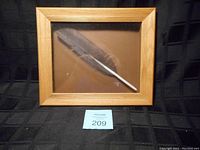 Framed goose feather basswood carving, full view showing frame and feather under glass.