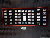 Full tri-fold display box showing all pins arranged uniformly on black velvet.