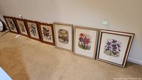 Overview of all seven framed prints laid against a wall on carpet: four bird prints in wooden scalloped frames on left, three floral prints in white and wood frames on right.