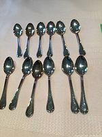 12 silver spoons arranged on a flat surface showing front side and shape of spoons