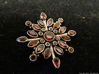 Front view of silver brooch with faceted garnets arranged in starburst pattern