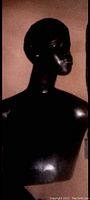 Dark polished wood bust statue showing profile of African tribal figure with smooth surface and detailed facial features