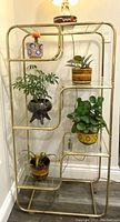Full view of shelving unit with decorative items