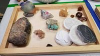 Overview of wooden tray displaying various mineral specimens including carved stone fish figure, cast ceramic forestry imprints, polished stones, and crystal formations.