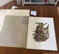 Photo showing the Kentucky Warbler print and protective acetate sheet along with folder labeled Cosmic House Graphics.