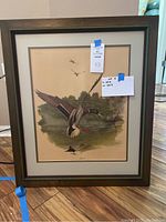 Full view of the framed print showing a Mallard in flight with natural background and wooden frame with green trim.