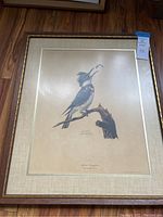 Framed print of Belted Kingfisher by Ray Harm showcasing entire art piece with signature and frame.