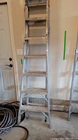 Front view of the ladder showing the full length and A-frame setup position, highlighting the ladder's structure and condition.