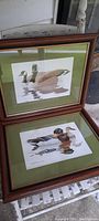 View of both framed duck prints showing the solid wood frames and green matting.