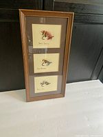Framed fly fishing hooks signed by Ian James, showing all three mounted flies with names. Wooden frame with matt.