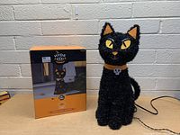 Hyde & Eek Lite Up Black Cat figurine next to its original packaging box, showing the 20 inch height and brand logo.