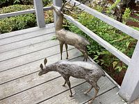 Front angle view of brass buck and doe sculptures on wooden deck