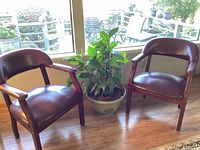Two burgundy barrel chairs flanking a potted plant in front of window