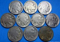 Ten Buffalo Nickel coins arranged in two rows on a blue background, showing the obverse side with Native American profile.