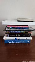 Stack of books and journals including Audubon Birds, Microsoft Access 2010, Birds book, adult coloring books