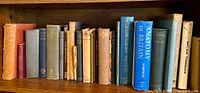 Antique book collection on wooden shelf, showing 21 books in varied bindings and colors ordered left to right.