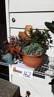 Photo showing three potted plants on a white wire shelf in sunlight, including a succulent in a round terracotta pot, a leafy green plant, and a Tradescantia zebrina with purple-striped leaves, with metal cross yard art in the background and a blue-green snail figurine on the shelf.