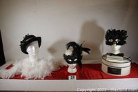 Full view of all items showing two black masquerade masks, white feather boa, and black spider hat on box with mannequin heads
