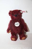 Front view of the burgundy Steiff teddy bear showing button in ear, black nose and eyes, with Steiff Club 2012 medallion on chest.