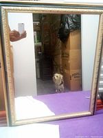 Full view of the framed mirror reflecting a room with boxes and a dog, showing the shape and size of the mirror.