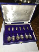 Top view of the six small spoons in the open purple velvet and white satin lined blue case.