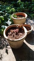 Three clay plant pots arranged outdoors on a stone patio with plants visible in the background. The clay pots show visible cracks and weathering, containing soil and sparse plants.