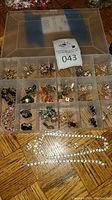 Overview of plastic storage box filled with multiple compartments of assorted costume jewelry including earrings, brooches, and rhinestone chains.