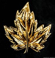 Photo showing a vintage gold-tone brooch in the shape of a detailed maple leaf, highlighting the texture and signature of D'Loran on the back.