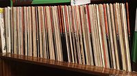 Wooden shelf holding approximately fifty vinyl LP records lined up vertically