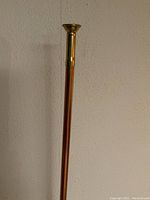 Tall brass horn standing vertically against a wall, showing the wide bell and long straight tubing.