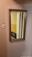 Full view of the rectangular mirror mounted on a wall, showing entire frame and reflection of door and room